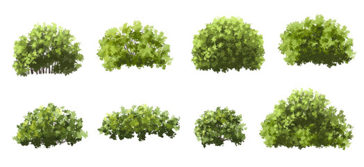 Fototapete - Vector of green tree side view isolated on white background ,watercolor tree elevation for landscape concept,environment scene,eco design, garden for spring