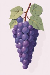 Sticker - there is a bunch of grapes hanging on a branch with leaves