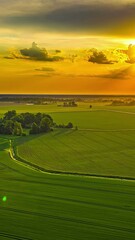 Wall Mural - Time-lapse aerial view of lush green farmland at sunset, with a golden sky and scattered clouds creating a serene rural landscape.