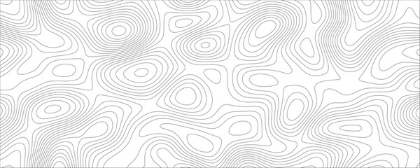Fototapete - Topographic map background concept, Monochrome abstract white topographic background. Vector contour topographic map. Cartography texture abstract banner use.