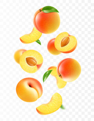 Wall Mural - flying ripe apricot. bright advertising background falling juicy sweet peach, realistic illustration
