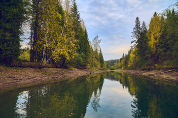 Wall Mural - autumn landscape of a river flowing through a colorful forest.
