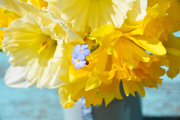Wall Mural - Spring flowers in a vase - bouquet of daffodils - Happy Easter decoration