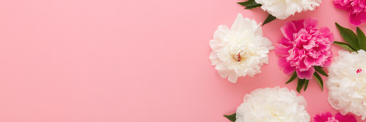 Wall Mural - Fresh beautiful soft white pink peony flowers with green leaves on pink table background. Pastel color. Closeup. Empty place for inspirational text, quote or sayings. Wide banner. Top down view.