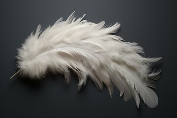Poster - Studio shot of a delicate white feather resting on a dark gray background, creating a contrast between lightness and darkness