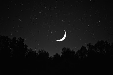 Canvas Print - a crescent moon is shining brightly in the dark sky. concept of calm and serenity, as the moon's gen