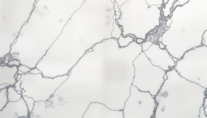 Aufkleber - Detailed high-resolution white Carrara marble texture. Intricate gray veining patterns create luxurious look perfect for background design. Ideal for various design applications like interior decor