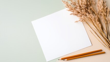 a white piece of paper with a pencil