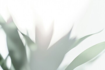 Poster - Blurred green leaves are creating an abstract natural background with bright light shining through, suggesting themes of nature, freshness, and tranquility