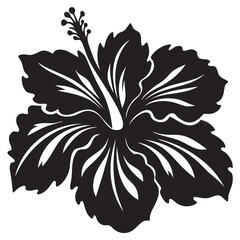 Naklejka na meble Hibiscus Silhouette Vector Elegant Black Design on Transparent Background