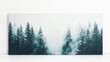 © Athirat - serene evergreen forest landscape, where gentle mist drifts among the trees, creating a calm and peaceful scene