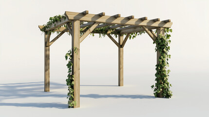 one wooden pergola, its structure simple, with a single vine beginning to grow.