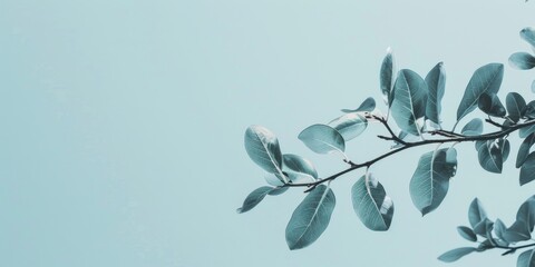 Poster - A minimalist aesthetic featuring a light misty blue backdrop, Minimalist design elements arranged asymmetrically, Modern minimalist style