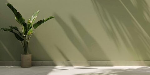 Poster - A minimalist aesthetic featuring a light olive backdrop, Minimalist design elements arranged symmetrically, Modern minimalist style