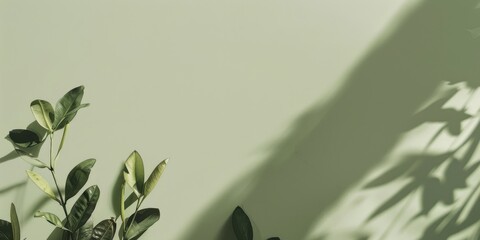 Poster - A minimalist aesthetic featuring a light olive green backdrop, Minimalist design elements arranged symmetrically, Modern minimalist style