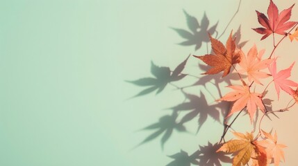 Poster - Colorful autumn leaves rest gently on a pastel background, casting intricate shadows that reflect the beauty of the season