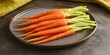 © vefimov - A plate of carrots is on a table. The carrots are long and thin, and they are arranged in a neat row. The plate is on a dark surface, which gives the image a somewhat somber or serious mood