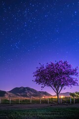 Wall Mural - a purple tree stands in a field of grass under a starry sky. the sky is dark and the stars are shini