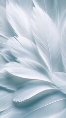 Poster - Delicate macro shot of puffin down feathers in soft gray and white tones nature close-up view