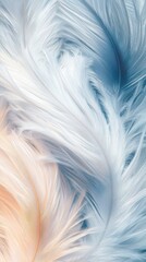 Poster - Macro shot of puffin down feathers nature soft textures close-up delicate gray and white tones