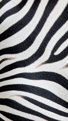 Poster - Macro shot of zebra fur patterns close-up nature textured environment artistic perspective