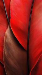 Poster - Vibrant macro shot of robin feathers nature close-up colorful textures detailed viewpoint