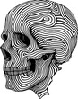 © safri - Skull head striped lines drawing