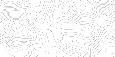 Poster - Topographic contour map.creatve cartography illustration. Topography and geography map grid abstract backdrop. Business concept. Fish Fillet Texture, Salmon fillet texture, fish pattern. paper texture