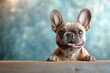 © letter - Happy Black French Bulldog Peeking Over Table