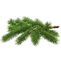 Wall Mural - [transparent background png]christmas fir branch with snow