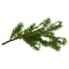 Wall Mural - [Transparent Background PNG]Snowy Fir Branch Ornament