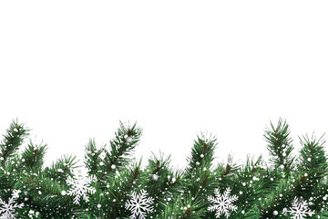 Wall Mural - [transparent background png]christmas fir tree branches background design
