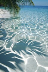Poster - Tropical beach with clear turquoise water and palm tree shadows on white sand in sunny day