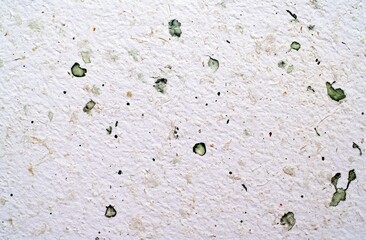 Poster - Texture of White Wall with Green Flecks and Natural Fiber Specks Ideal for Backgrounds or Artistic Projects in Interior Design or Photography