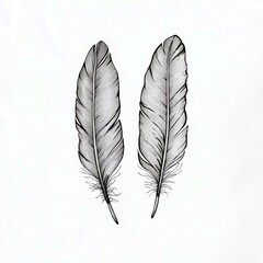 Poster - Intricate Hand-Drawn Feathers on a Soft Background Highlighting Nature and Organic Beauty with Fine Details and Textures in Black and White Illustration