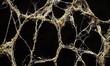 © GePinariya - Golden spiderweb on black background, ideal for Halloween or spooky projects