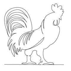 Wall Mural - One continuous single drawing line art flat doodle rooster, animal, bird, chicken, nature. Isolated image hand draw contour on a white background
