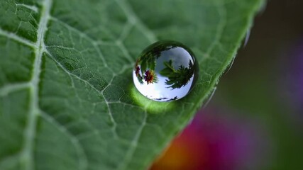 Aufkleber - A macro shot of a raindrop clinging to a vibrant leaf, reflecting the surrounding garden in perfect detail, symbolizing purity and growth.