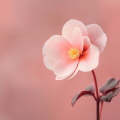 Wall Mural - Delicate Pink Flower Blossom in Soft Focus