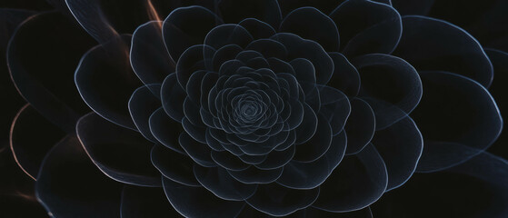Aufkleber - Concentric circular petal patterns with floral design on a black background for artistic overlay