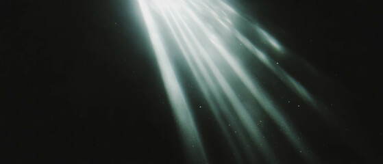 Poster - Intricate dust particles illuminated by light against a black background for texture and detail