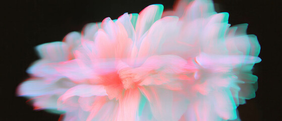 Poster - Exploring digital art with distorted glitching flower petal effects on a dark backdrop
