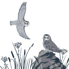 Wall Mural - vector drawing birds, great horned owl sitting at rock, hand drawn Bubo virginianus , isolated nature design element