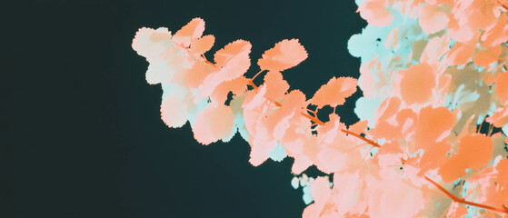 Poster - Ethereal overlay texture with unique infrared colors set against a black background