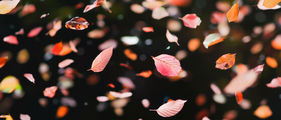 Poster - Floating confetti softly descends against a dark background creating a magical atmosphere