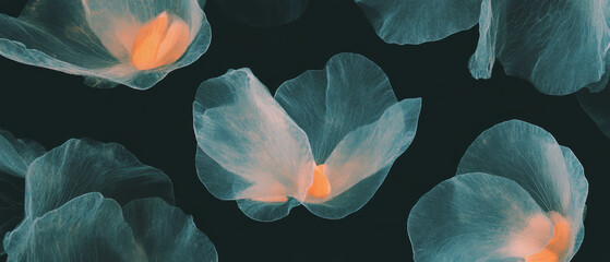 Aufkleber - Geometric petal arrangements showcasing structured beauty against a dark background