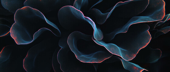 Poster - Highly detailed petal texture overlay with intricate surface details on black background