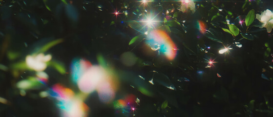 Poster - Sparkling bokeh overlay with star shapes creating a celestial atmosphere in dark background
