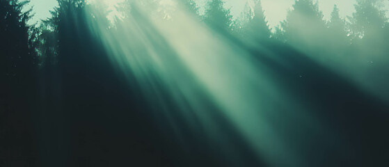 Aufkleber - Light filters through fog creating a diffused atmosphere over dark trees at dusk