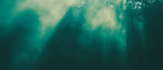 Poster - Light filters through fog creating a diffused atmosphere against a dark background